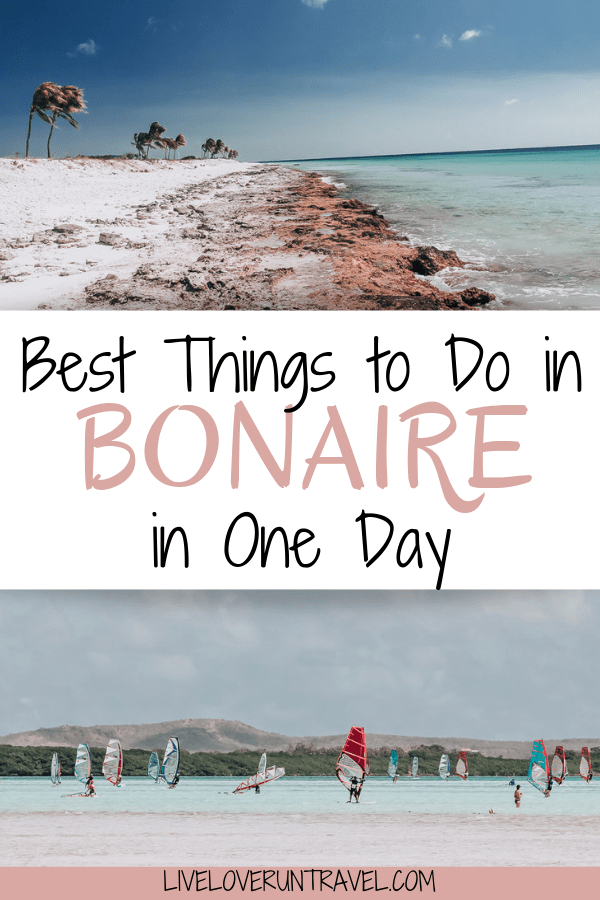 Find the best things to do in Bonaire on your own including windsurfing in Bonaire, the best beaches in Bonaire, snorkeling in Bonaire, and more. Things to do in Bonaire | Bonaire itinerary | Bonaire island | Bonaire photography | Bonaire things to do | Bonaire cruise | Bonaire cruise port | Bonaire excursions | Kralendijk Bonaire | Bonaire beaches | best beaches Bonaire | Bonaire pink beach | Bonaire snorkeling | Bonaire salt flats