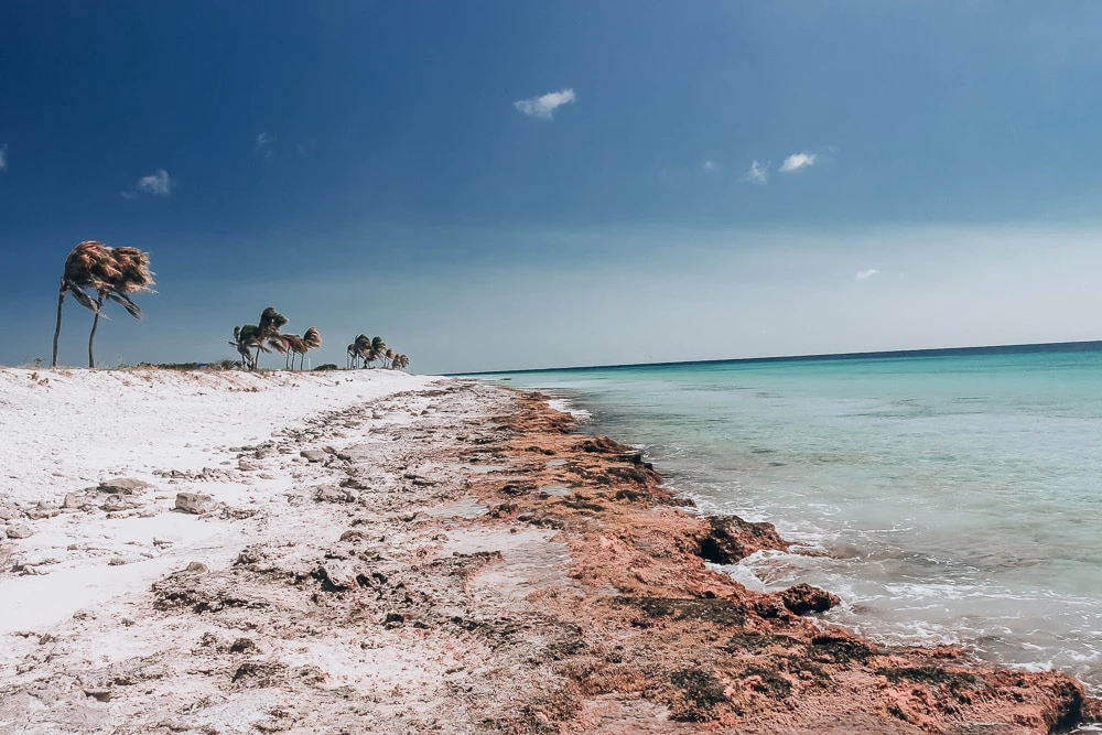 Pink Beach in Bonaire is not really all that pink, but it is still beautiful and perfect for snorkeling or enjoying the views. Find the best things to do in Bonaire on a cruise (or a longer stay) here.