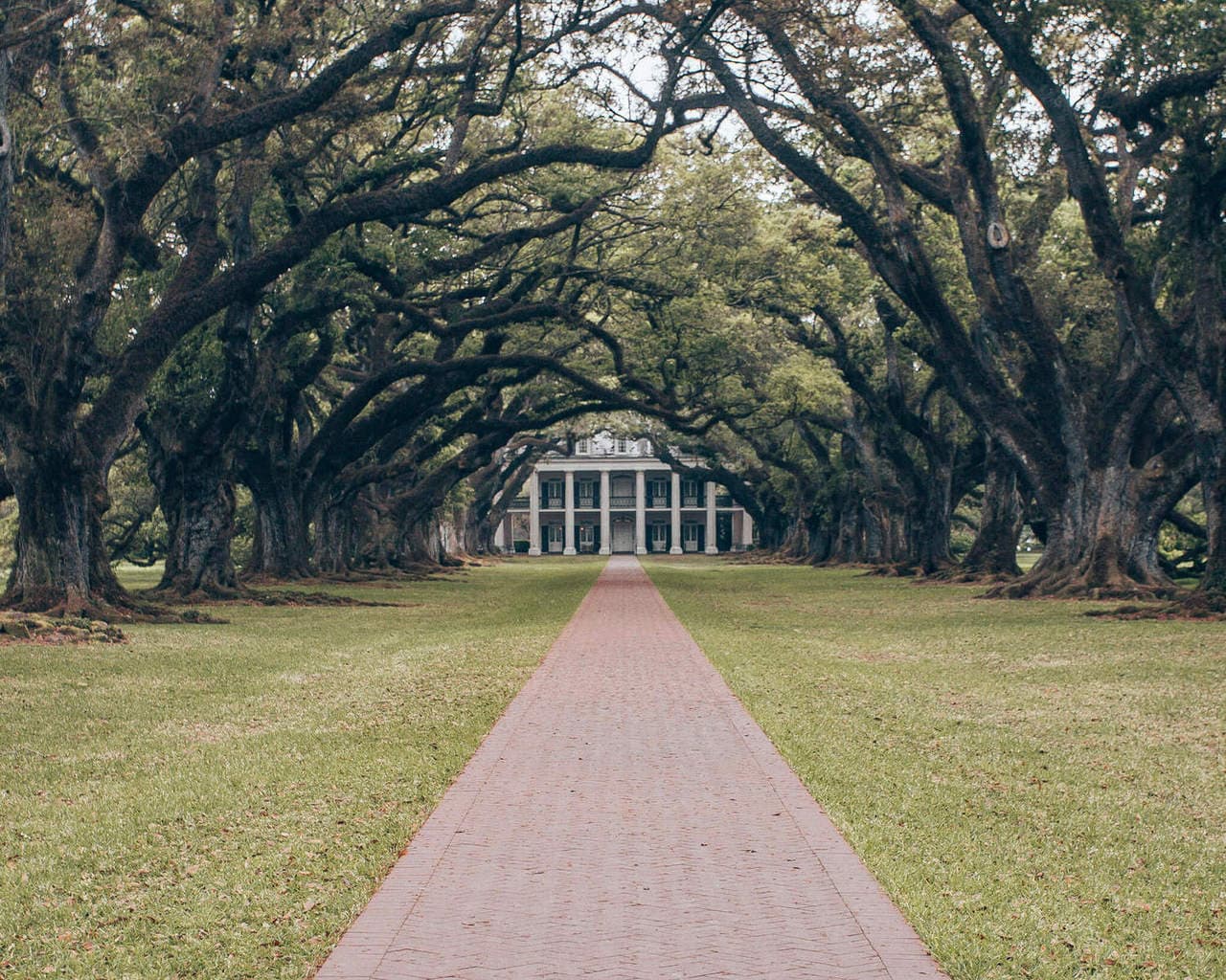 Oak Alley Plantation is one of the most popular things to do in New Orleans. Click here for a full 4 day New Orleans itinerary + map. #neworleans #oakalleyplantation | New Orleans houses | New Orleans plantations | New Orleans in 4 Days | 4 Days in New Orleans | New Orleans 4 day itinerary | New Orleans in spring | New Orleans photo spots | New Orleans Louisiana | New Orleans things to do in | what to do in New Orleans