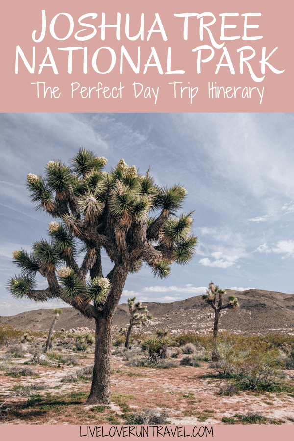 The perfect itinerary for one day in Joshua Tree National Park in California including the best hikes in Joshua Tree and Joshua Tree Instagram photo spots. This guide includes the best things to do in Joshua Tree along with Joshua Tree photography. Joshua Tree California is one of the best national parks in California and one of the best national parks in the United States. Joshua Tree is a must stop on a California road trip, and you can definitely see Joshua Tree in one day.