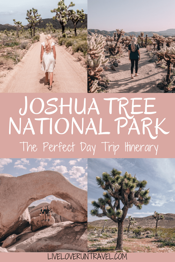 The perfect itinerary for one day in Joshua Tree National Park in California including the best hikes in Joshua Tree and Joshua Tree Instagram photo spots. This guide includes the best things to do in Joshua Tree along with Joshua Tree photography. Joshua Tree California is one of the best national parks in California and one of the best national parks in the United States. Joshua Tree is a must stop on a California road trip, and you can definitely see Joshua Tree in one day.