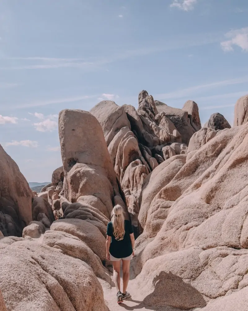 Joshua Tree National Park next to Arch Rock. The perfect itinerary for one day in Joshua Tree National Park in California including the best hikes in Joshua Tree and Joshua Tree Instagram photo spots. This guide includes the best things to do in Joshua Tree along with Joshua Tree photography. Joshua Tree California is one of the best national parks in California and one of the best national parks in the United States. Joshua Tree is a must stop on a California road trip, and you can definitely see Joshua Tree in one day.