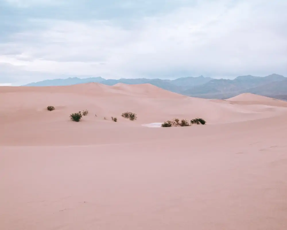 Mesquite Sand Dunes at sunrise is the perfect hike to start the day. Find a full one day itinerary for Death Valley including where to stay, what to see and do, and when to visit.