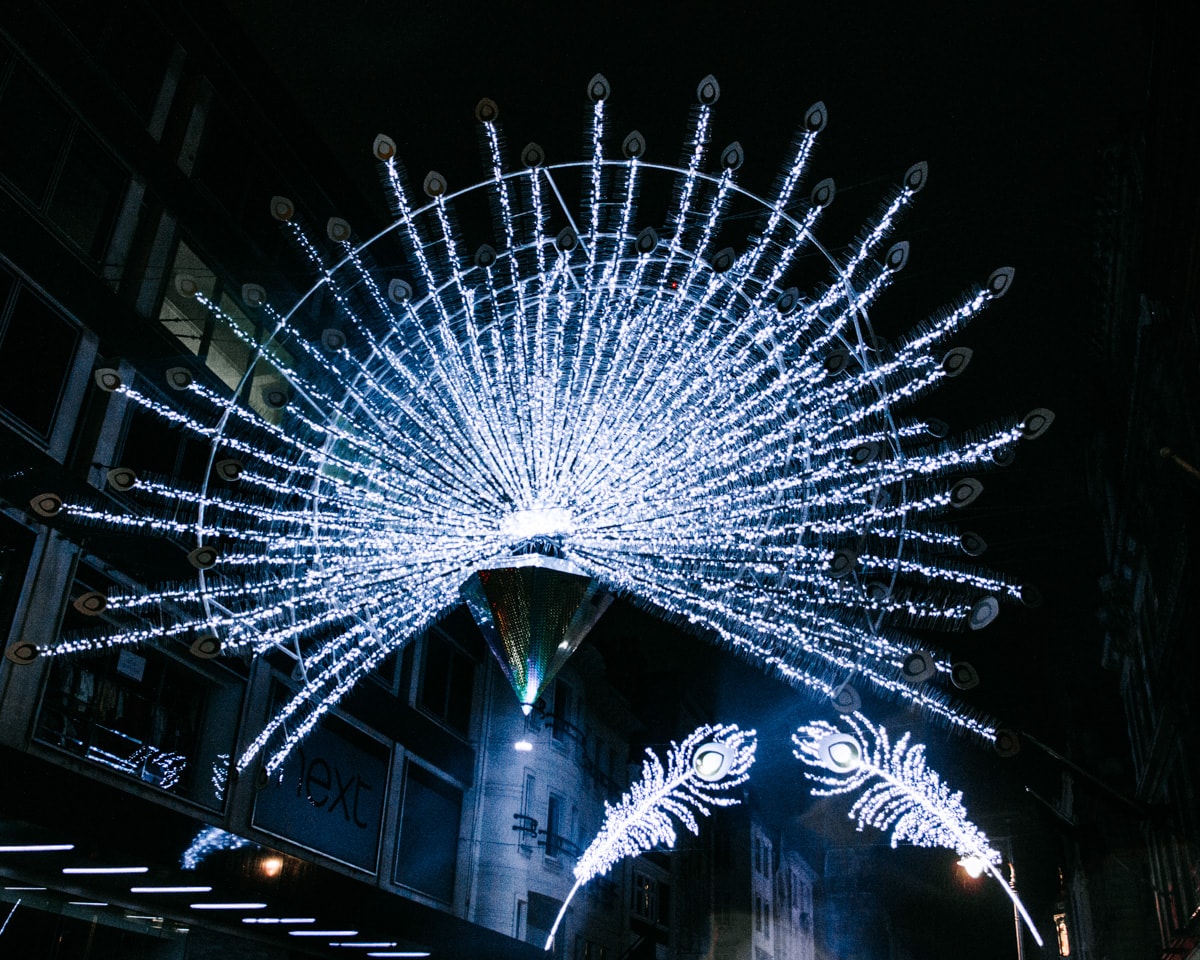 The lights on Bond Street are peacock themed at Christmas