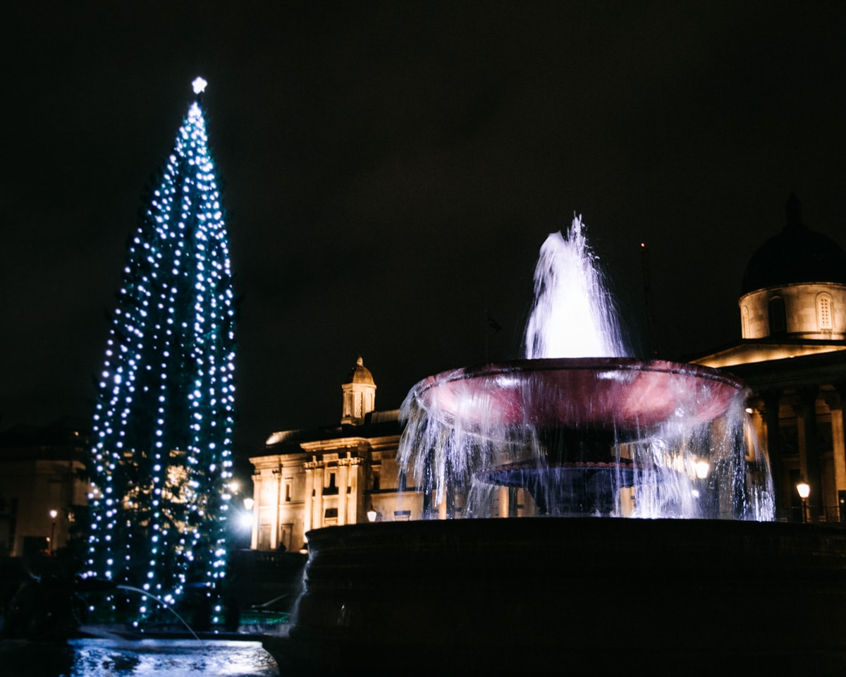 Trafalgar Square Christmas tree, a historical tradition in London