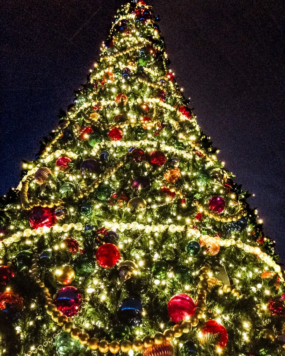 A Christmas tree at SeaWorld Orlando at Christmas