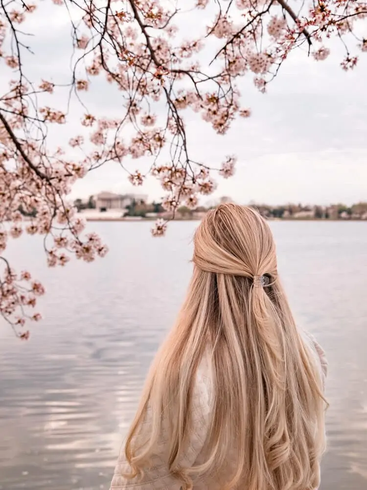 woman looking at the Jefferson Memorial through the cherry blossoms