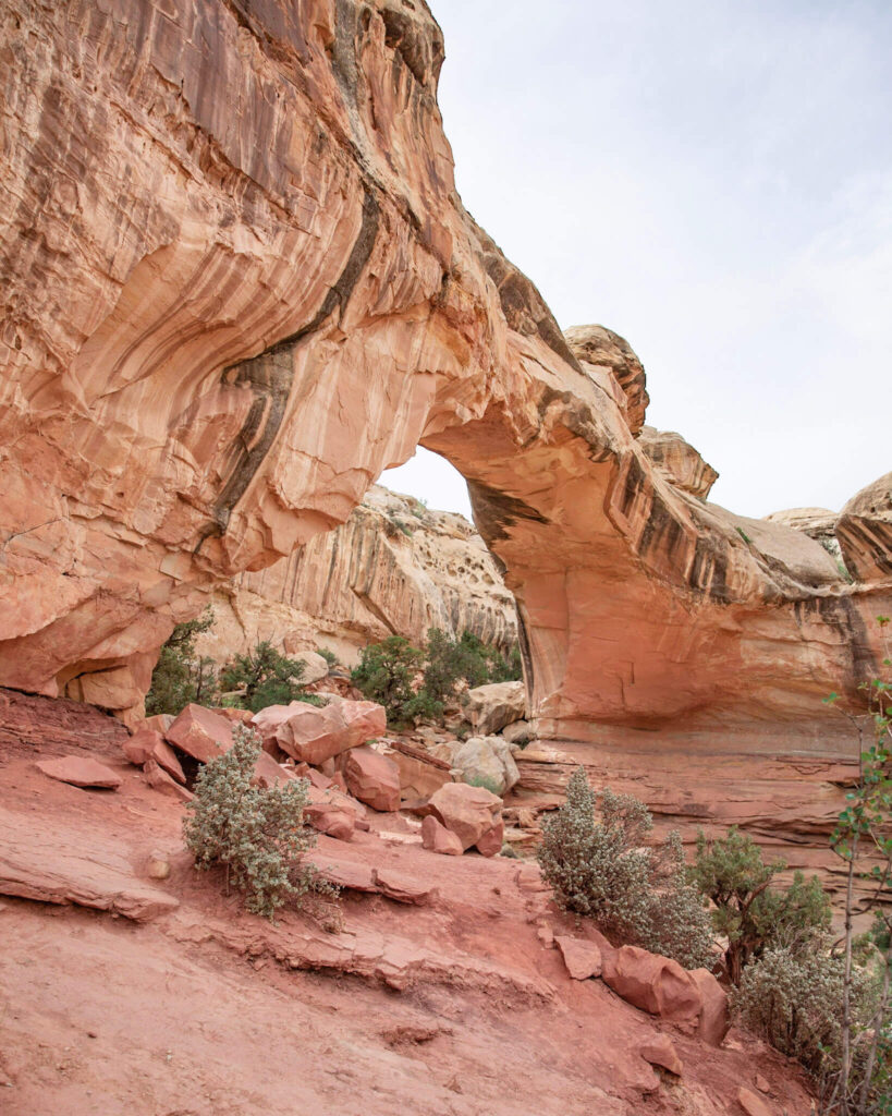 Hickman Bridge at Capitol Reef National Park