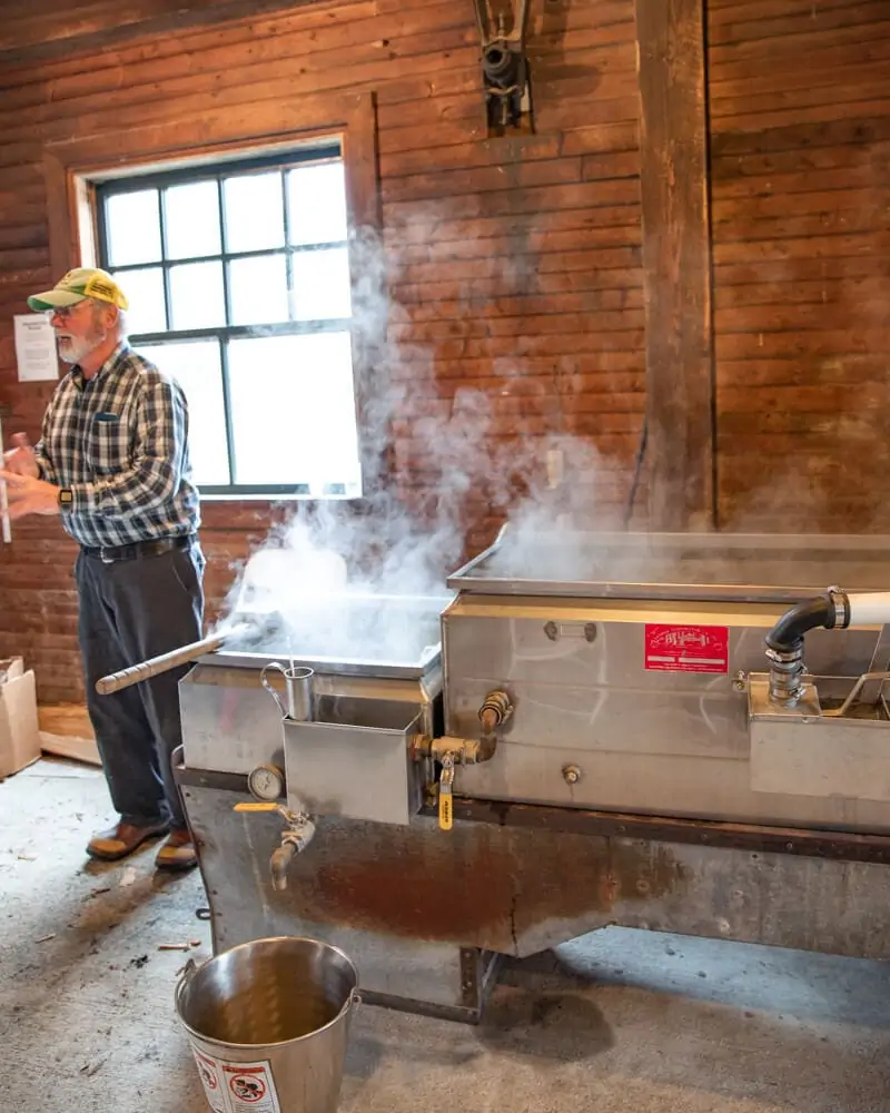 learning how to make maple syrup on a new hampshire weekend trip