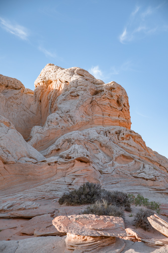 white pocket arizona