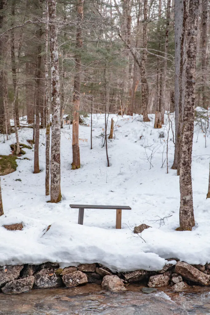 Bench in the forest in winter with snow all around it