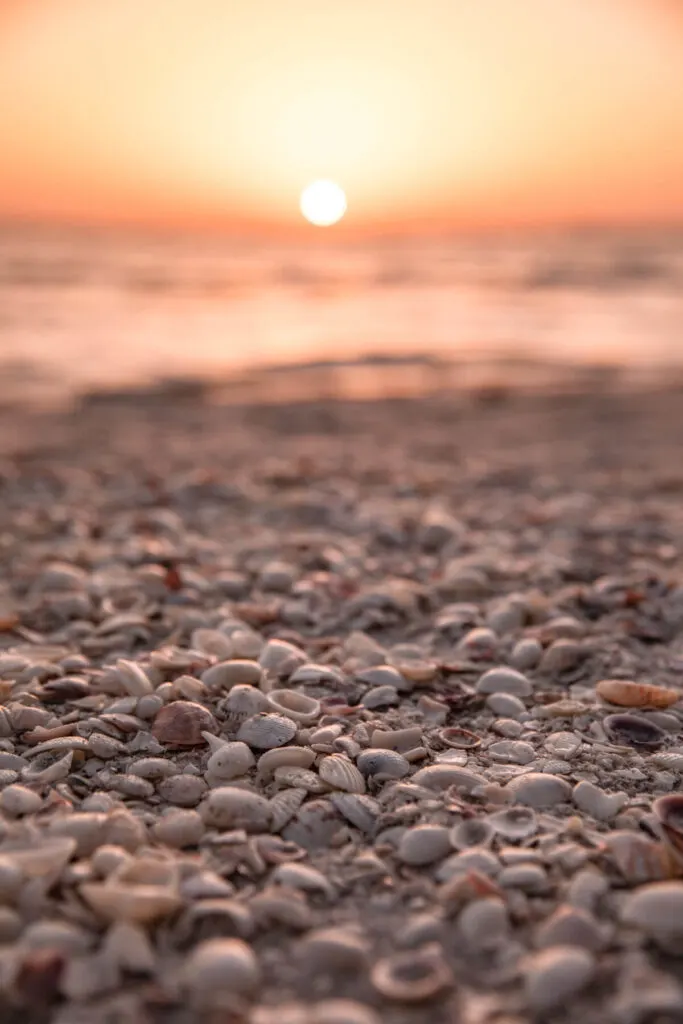 Beach covered in shells at sunrise on Sanibel Island