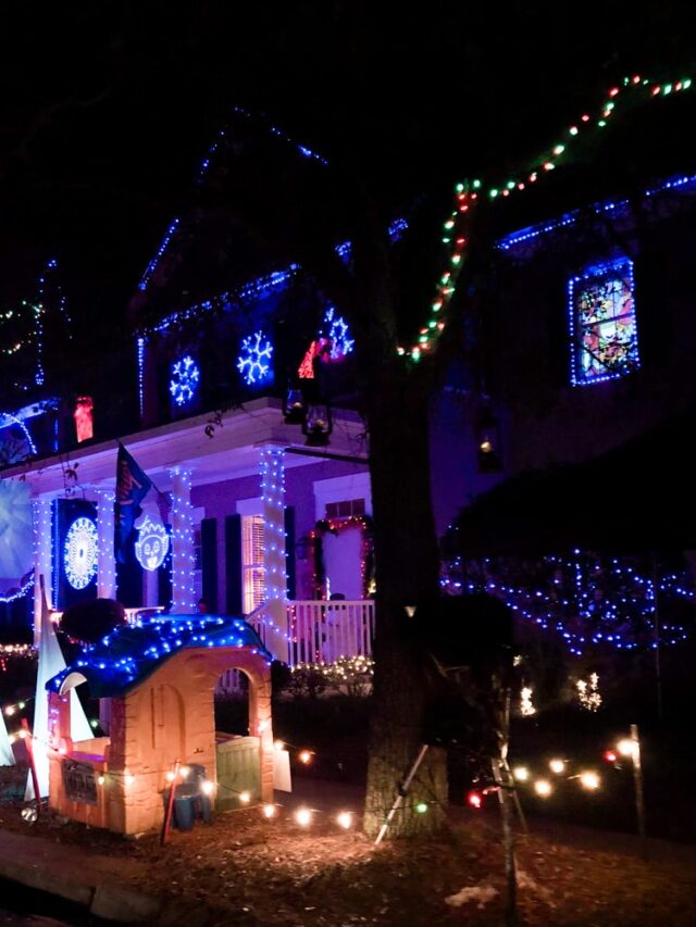 Must See Orlando Christmas Lights Story
