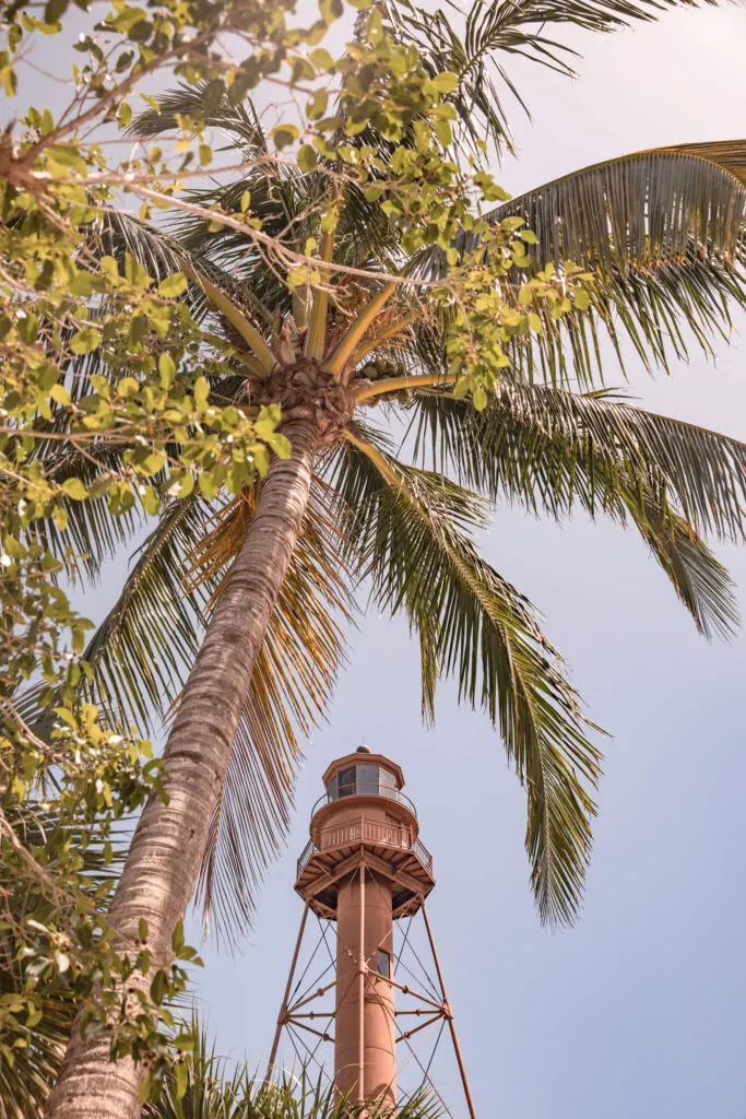 sanibel lighthouse with palm trees