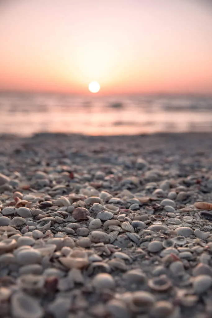 sanibel island seashells and sunset