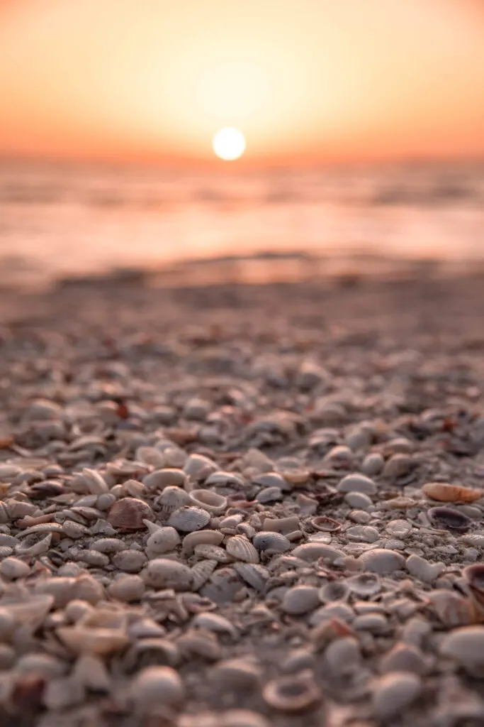 sanibel island sunset