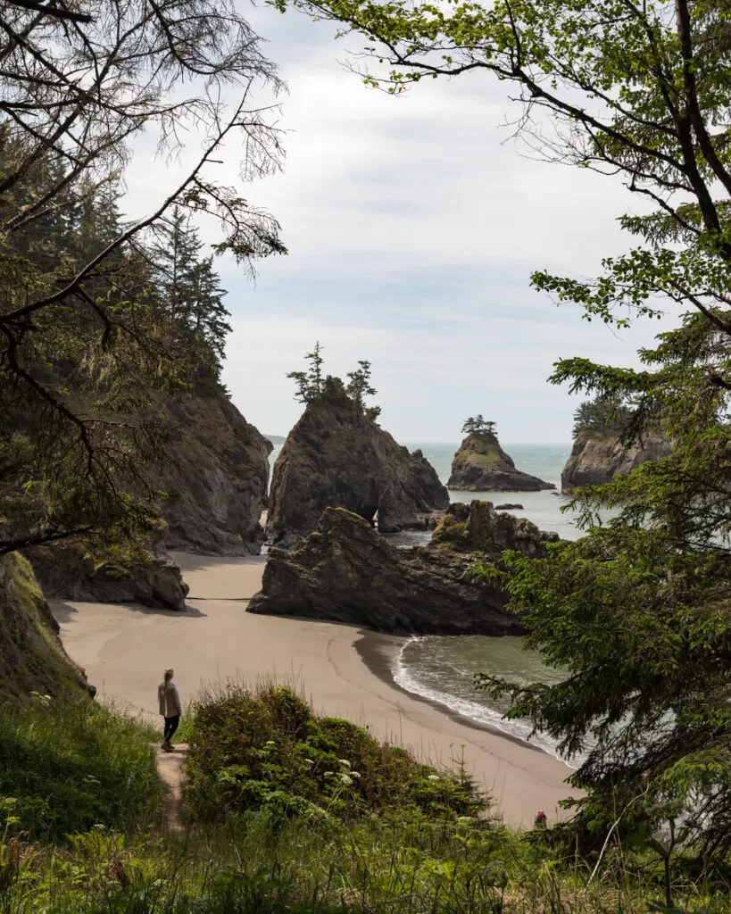 view from above secret beach in oregon