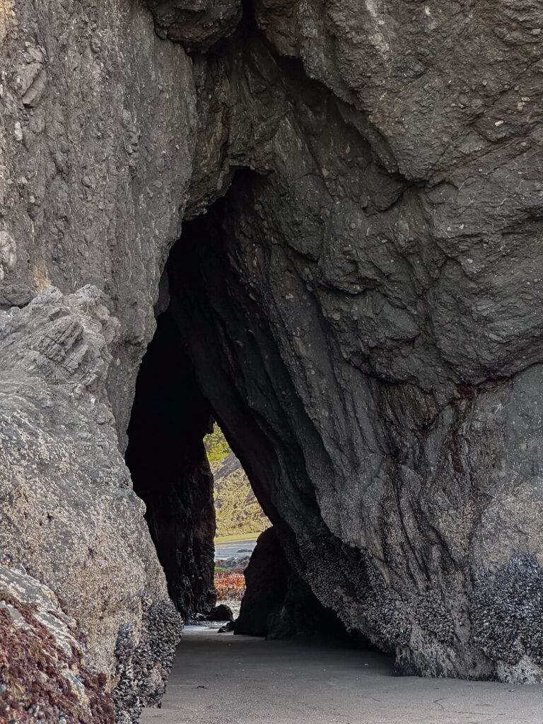 se cave on secret beach oregon