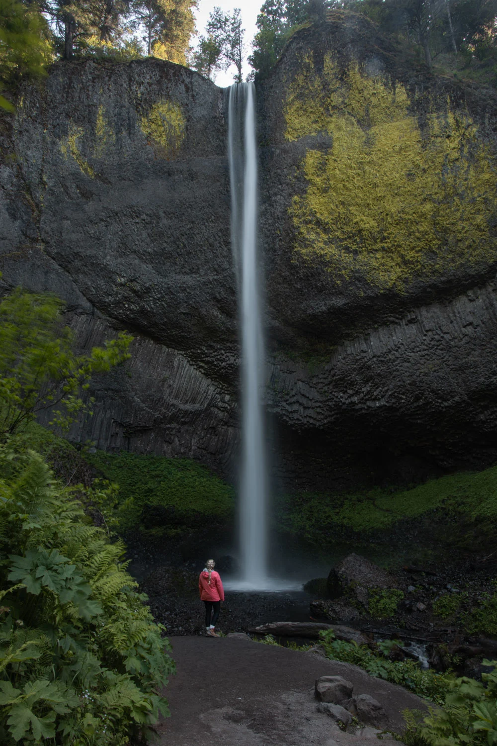 Latourell Falls in Columbia River Gorge