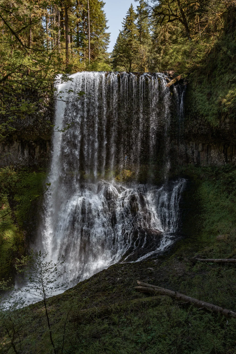 Waterfall you can walk behind in Silver Falls State Park