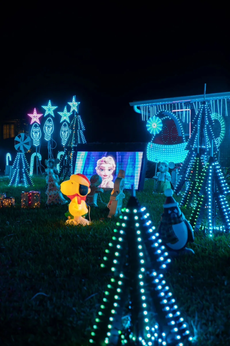 Frozen playing at Bivona Christmas Light Show in Orlando