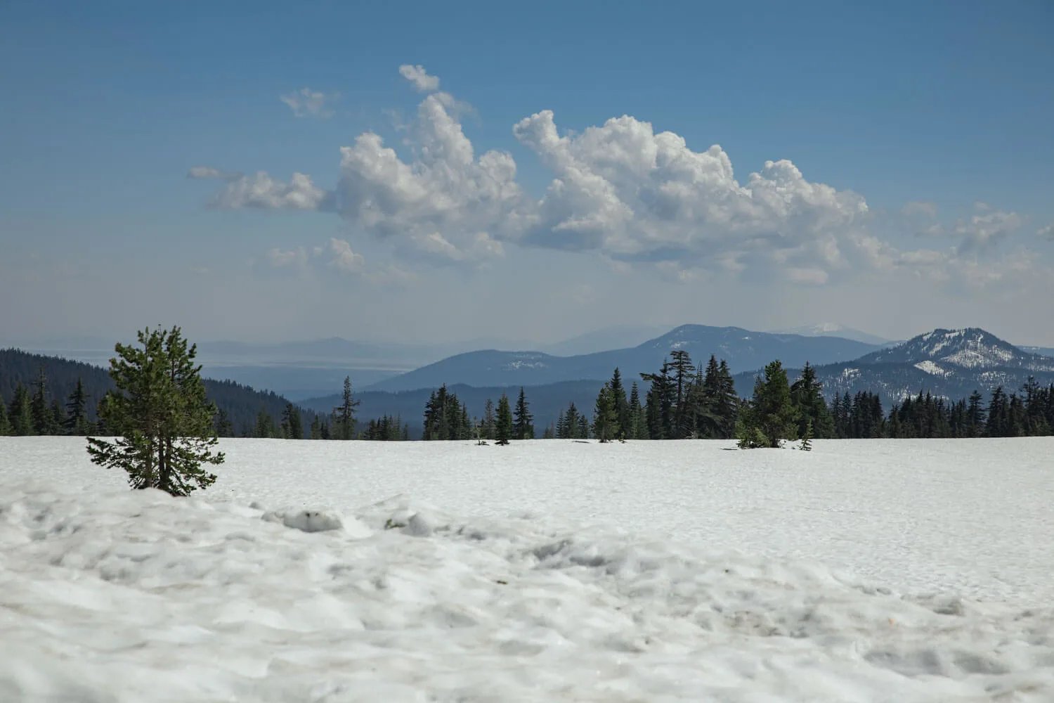 field of snow in crater lake national park in may