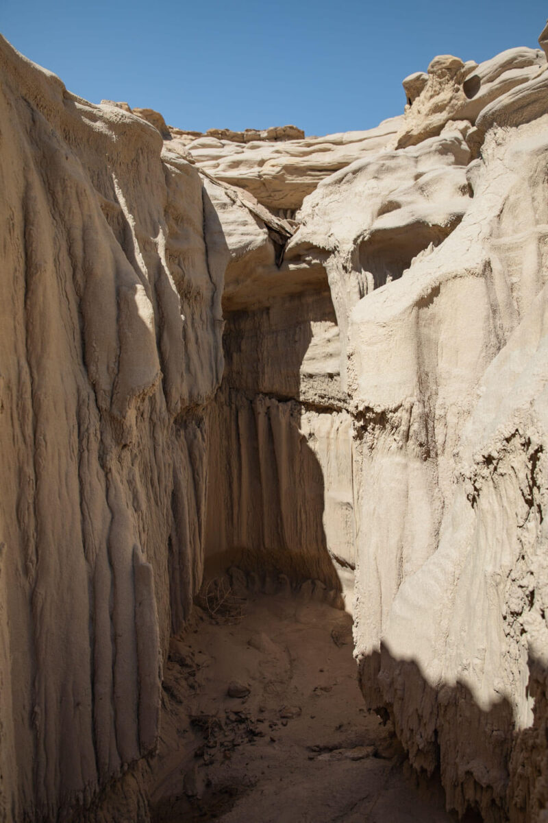 short slot canyon in valley of dreams