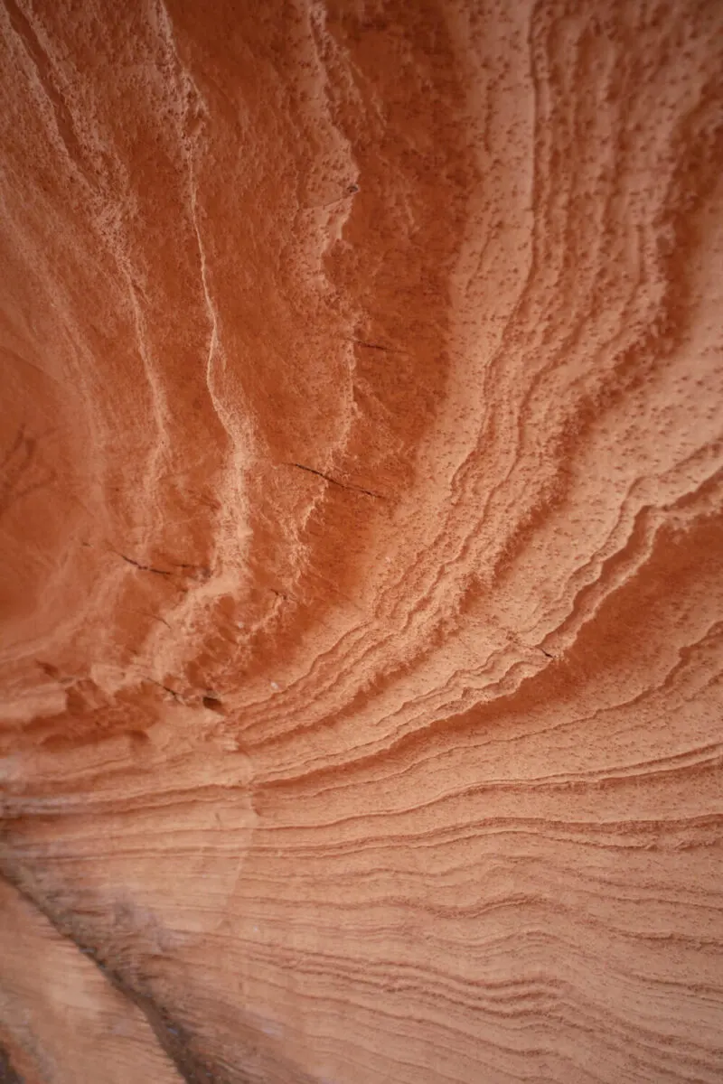 textured lines and bumps in the wall of the cave
